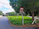 Ver la foto 6 de 10