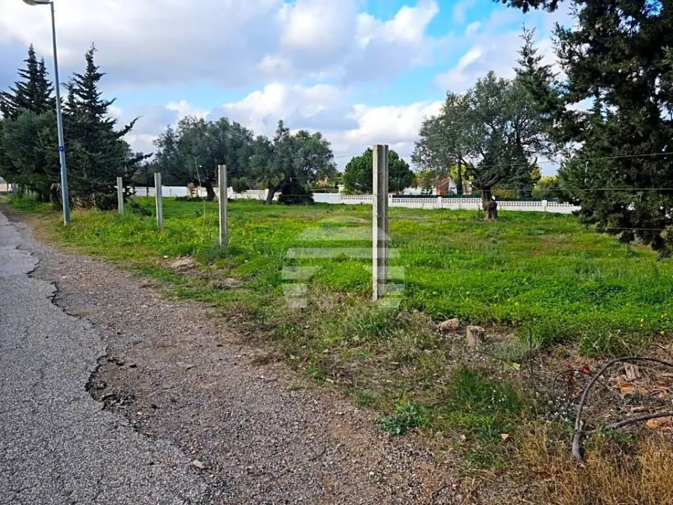 Parcela en Tentegorra, el pulmón de Cartagena en Tentegorra — foto 2