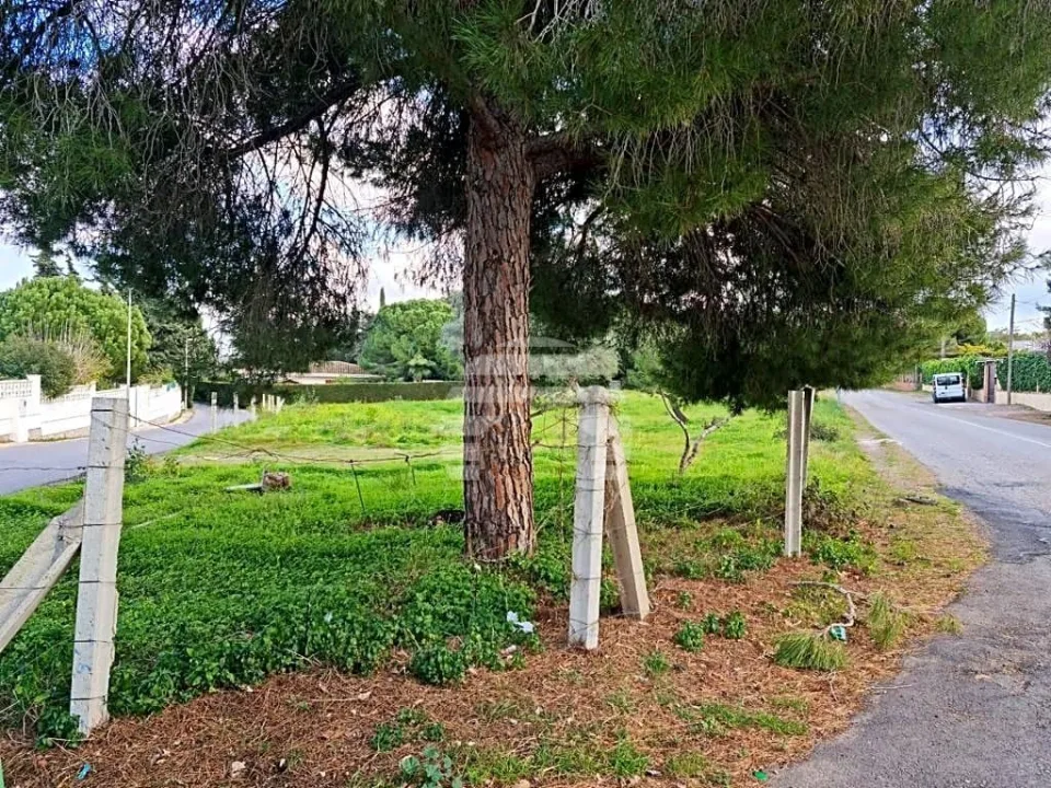 Parcela en Tentegorra, el pulmón de Cartagena en Tentegorra — foto 8