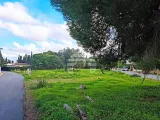 Ver la foto 7 de 10