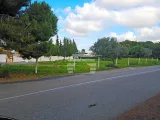 Ver la foto 5 de 10
