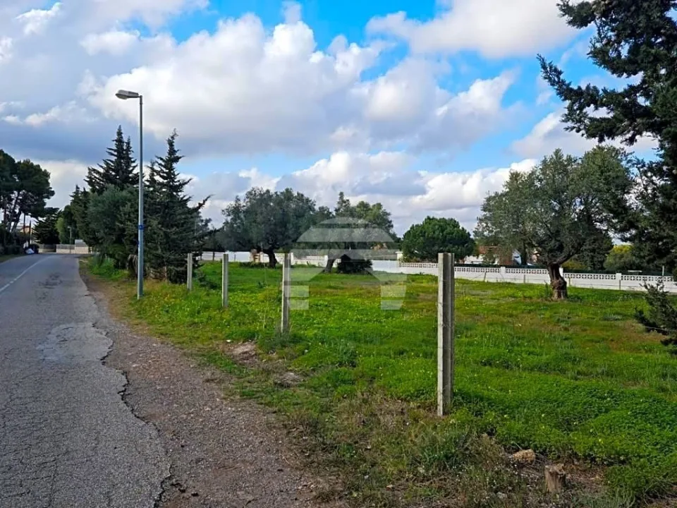 Parcela en Tentegorra, el pulmón de Cartagena en Tentegorra — foto 3