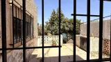 Ver la foto 8 de 12